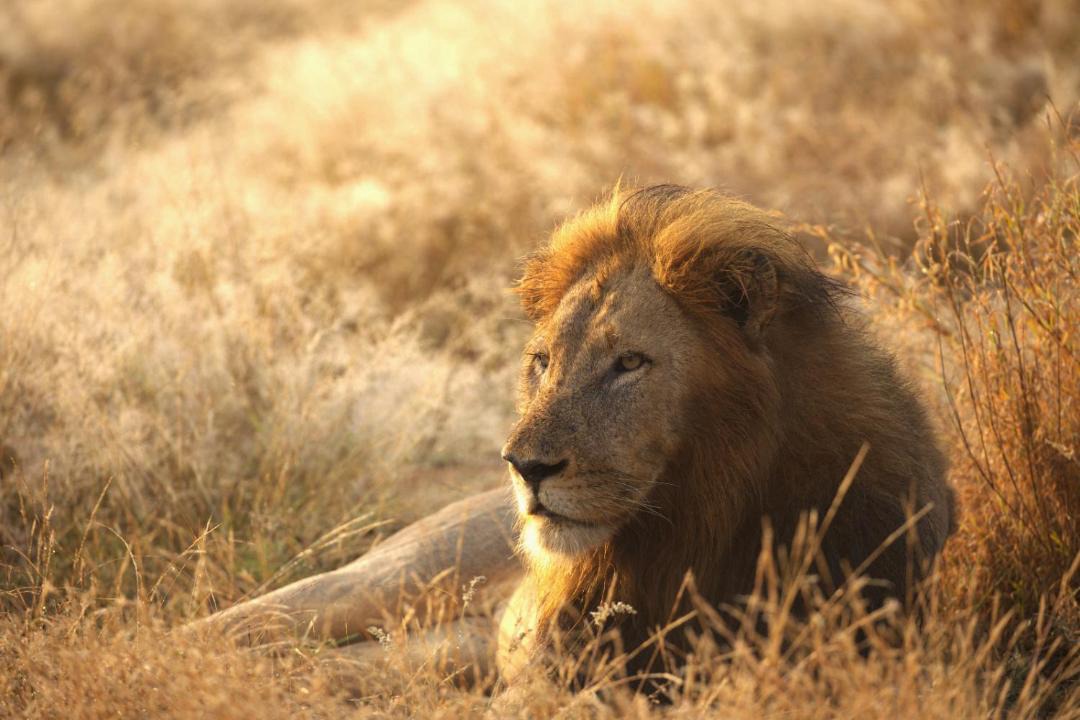 Photo of Others in Hoedspruit