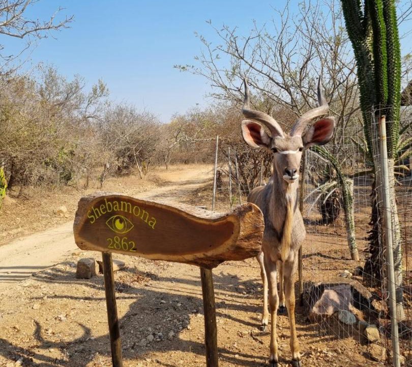 Photo of Others in Marloth Park