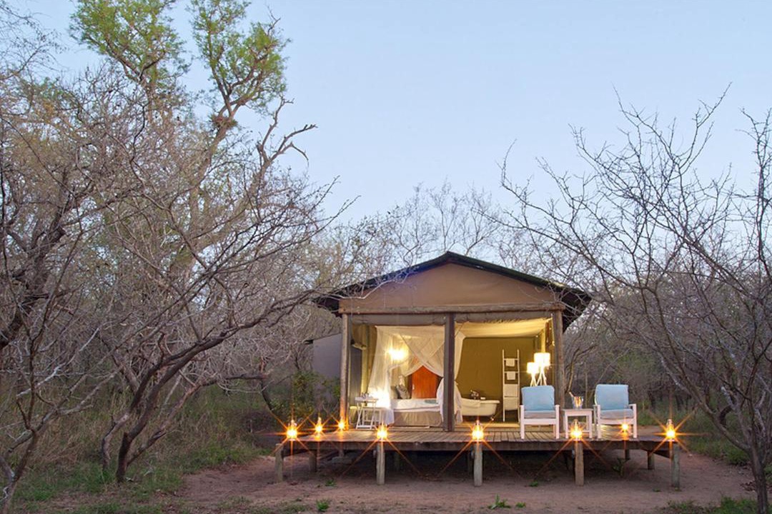 Photo of Others in Thorny Bush Game Reserve