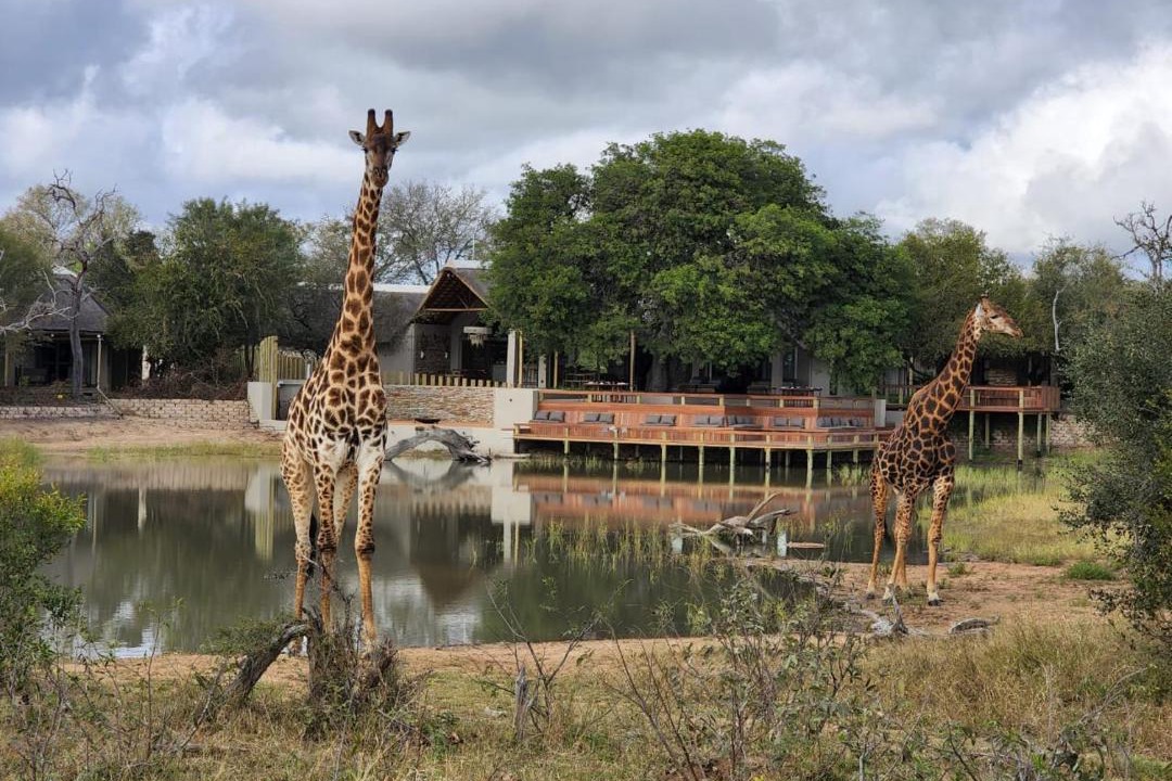 Photo of Others in Thorny Bush Game Reserve