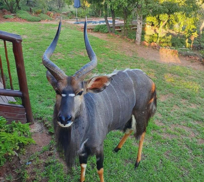 Photo of Others in Bela-Bela