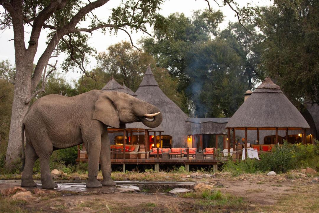 Photo of Others in Kruger National Park