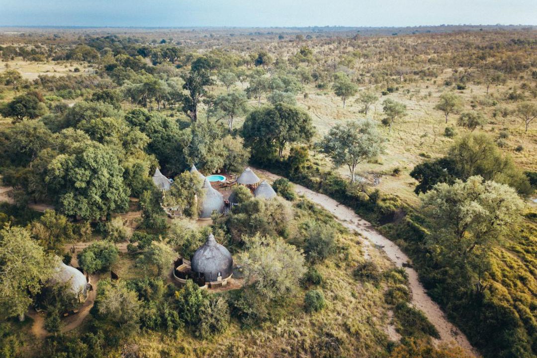Photo of Others in Kruger National Park