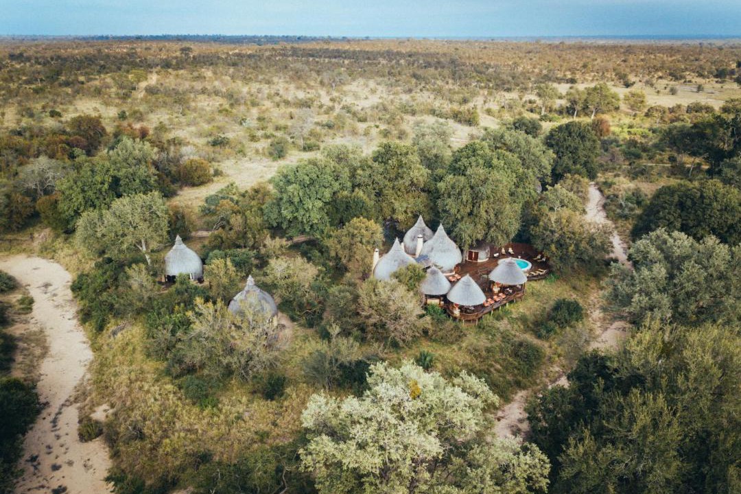 Photo of Others in Kruger National Park