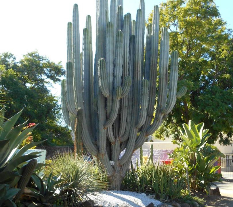 Photo of Others in Graaff-Reinet