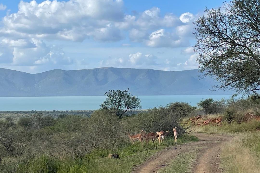 Photo of Others in Pongola