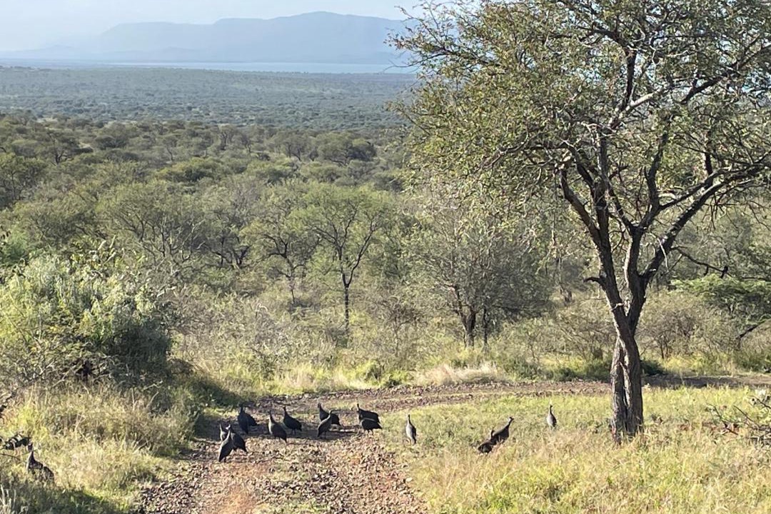 Photo of Others in Pongola