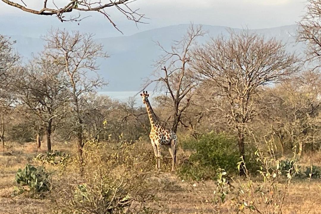 Photo of Others in Pongola