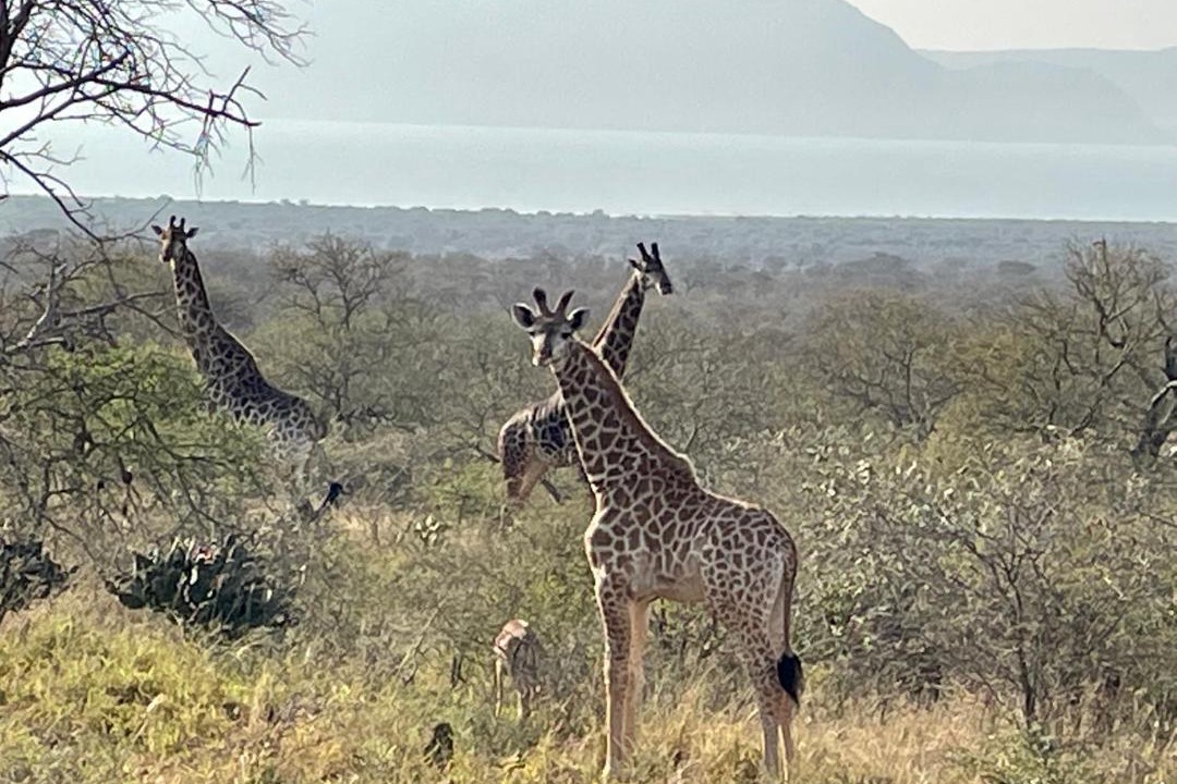 Photo of Others in Pongola