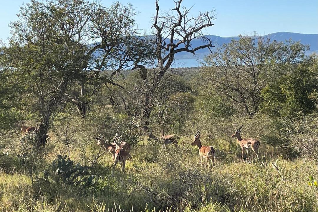 Photo of Others in Pongola