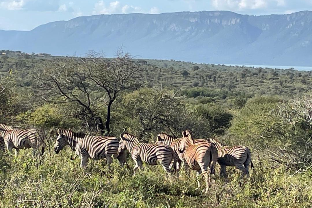 Photo of Others in Pongola