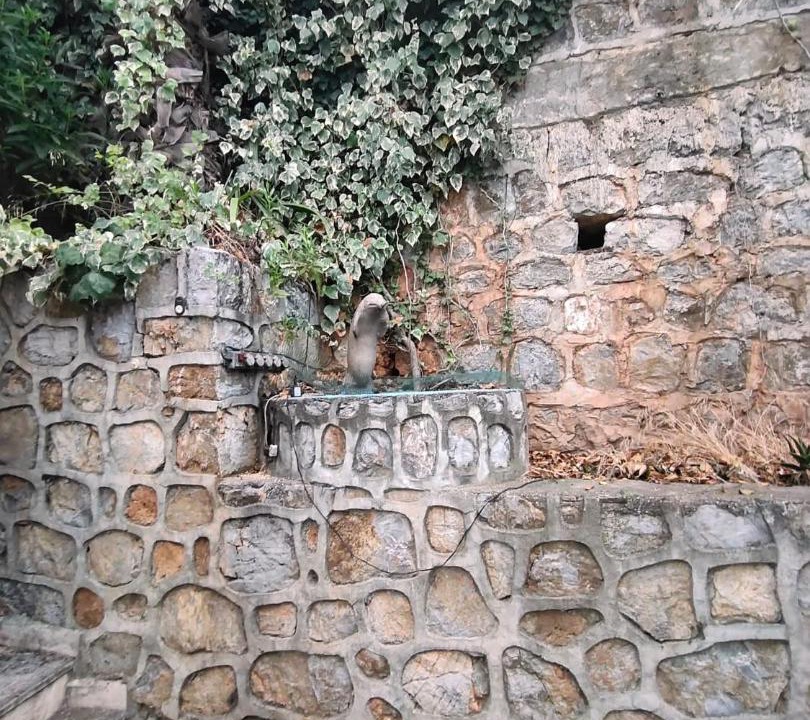 Photo of Others in Dalaman