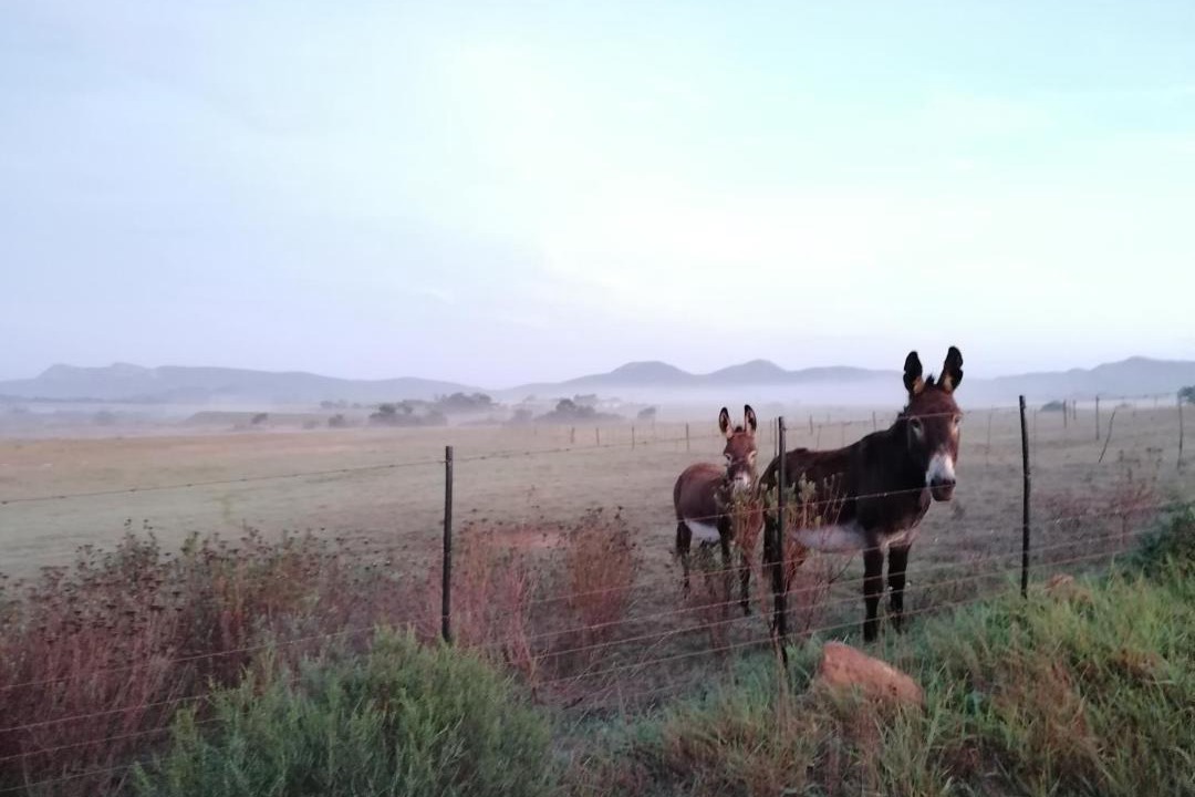 Photo of Others in Baardskeerdersbos