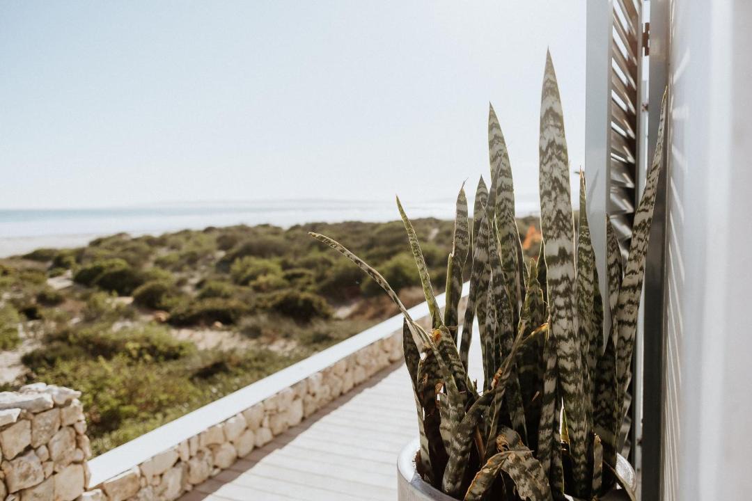 Photo of Others in Paternoster