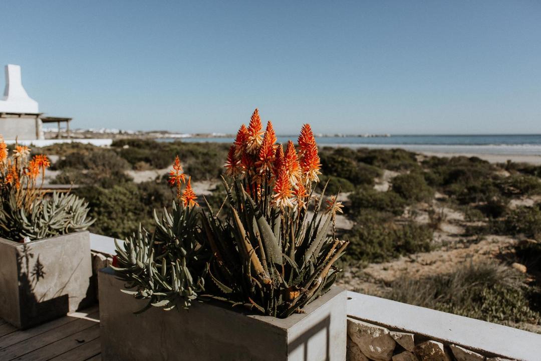 Photo of Others in Paternoster