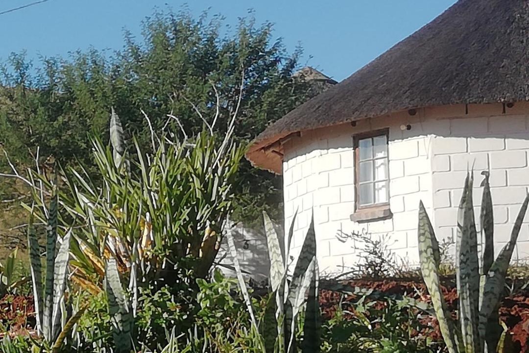 Photo of Others in Nkandla