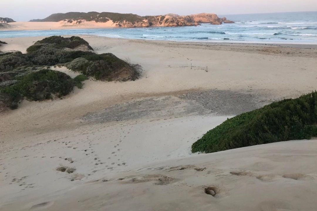 Photo of Others in Bushman's River Mouth