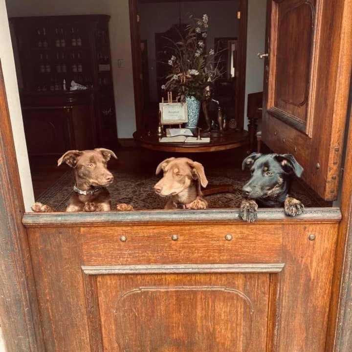 Photo of Others in Tulbagh