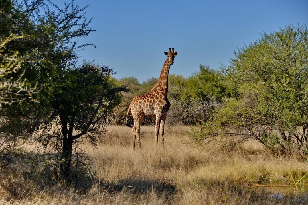 Photo of Others in Madibeng