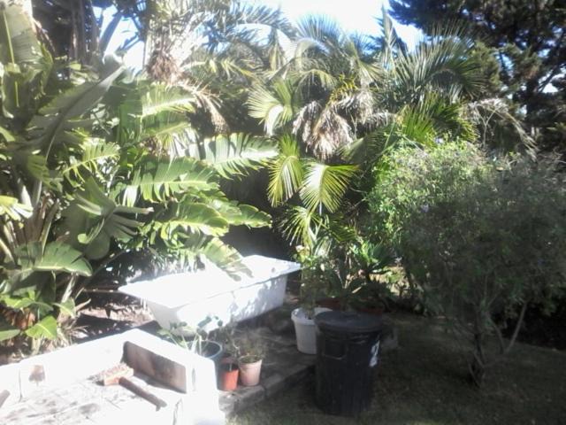 Photo of Others in Sandbaai
