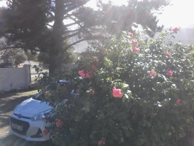 Photo of Others in Sandbaai