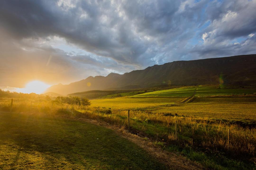Photo of Others in Swellendam
