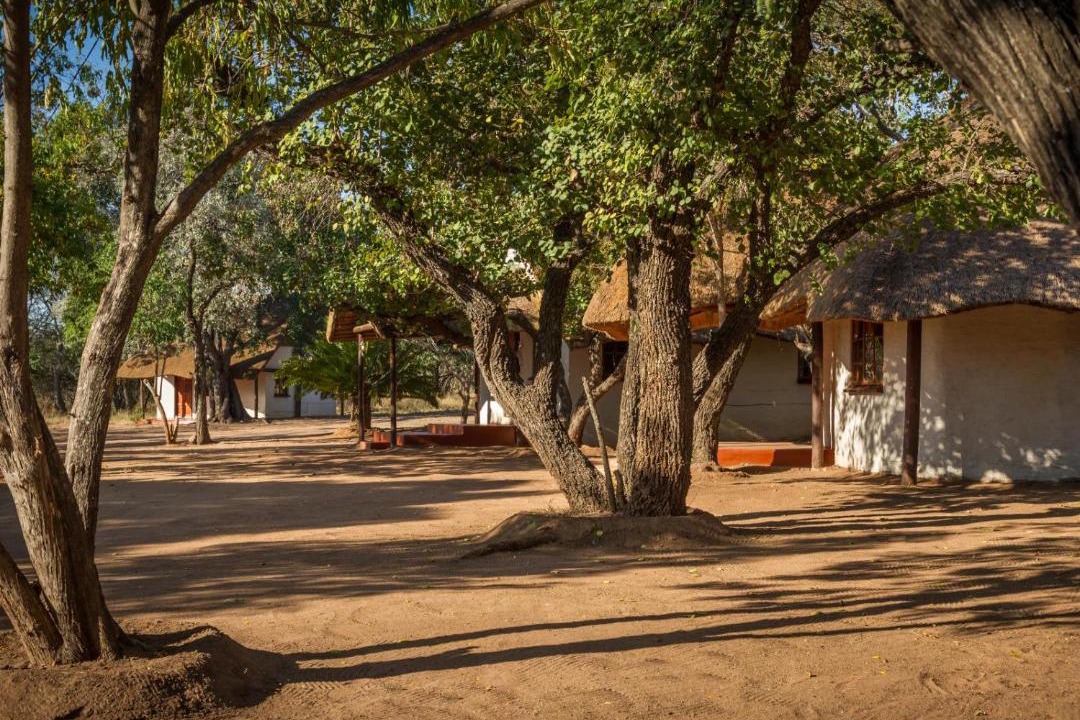 Photo of Others in Thorny Bush Game Reserve