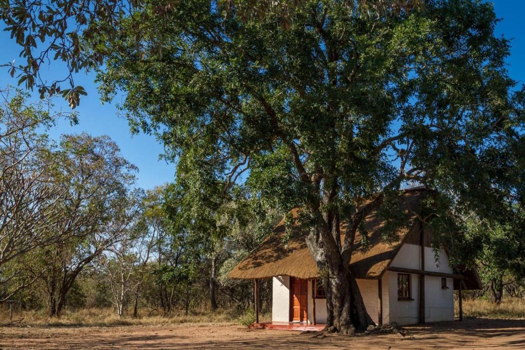 Photo of Others in Thorny Bush Game Reserve