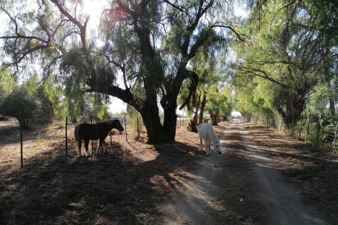 Photo of Others in Inxuba Yethemba