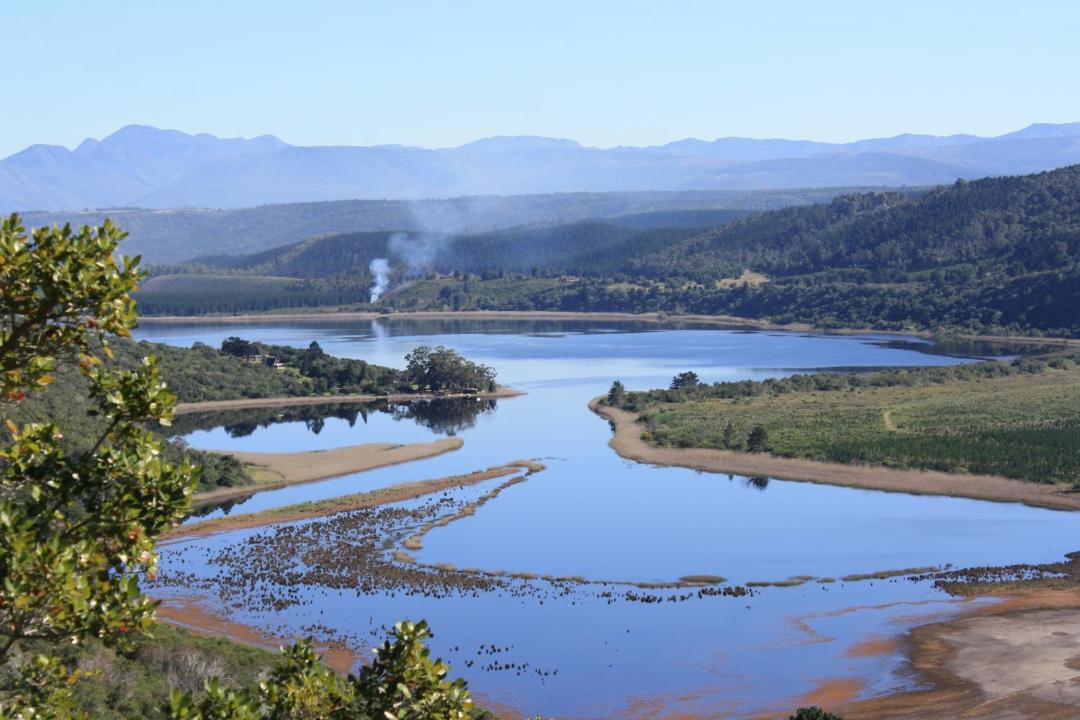 Photo of Others in Sedgefield