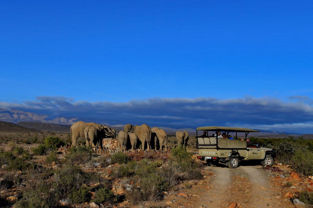 Photo of Others in Barrydale