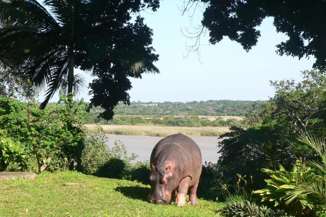 Photo of Others in St. Lucia