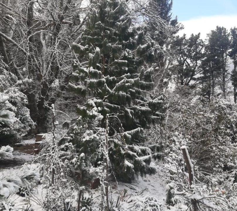 Photo of Others in Hogsback