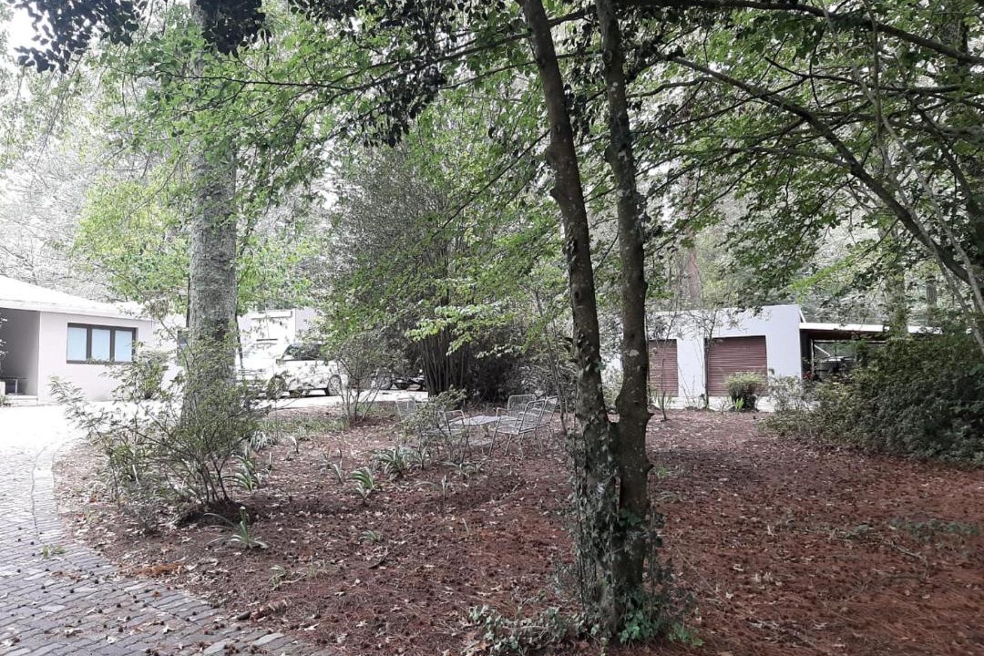 Photo of Others in Hogsback