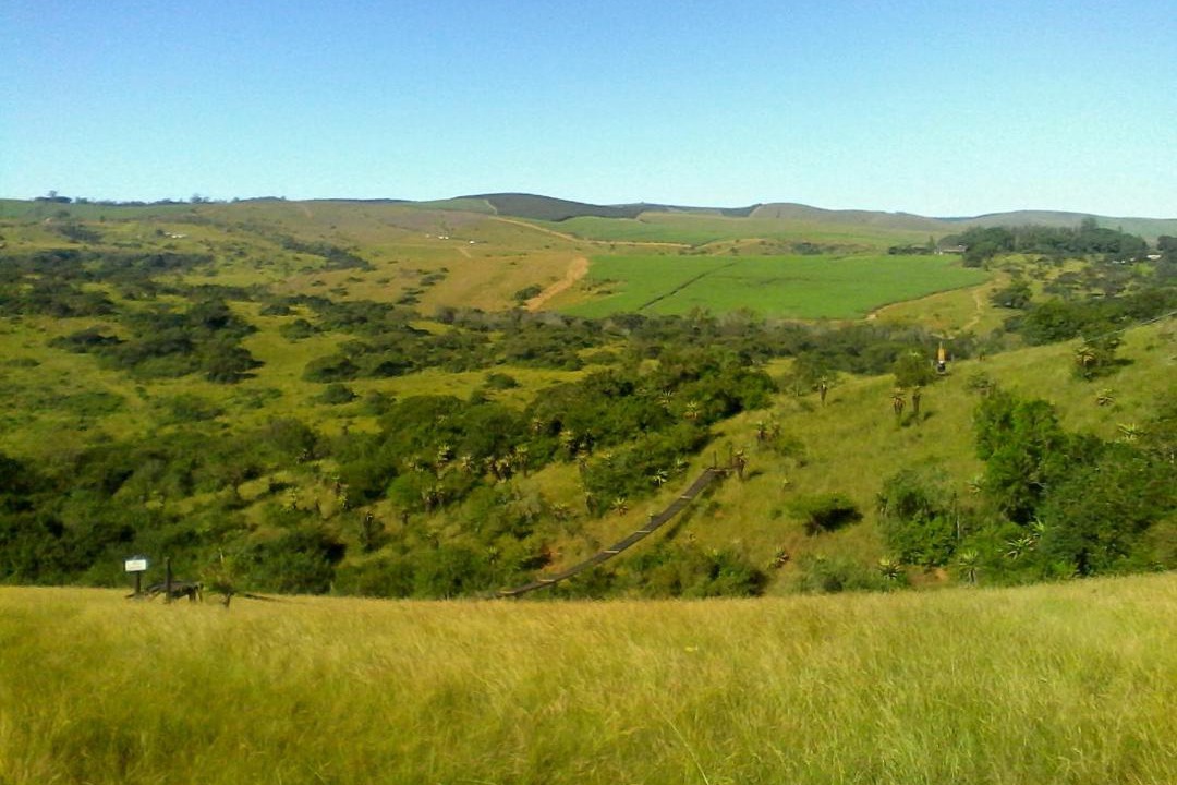 Photo of Others in Merrivale