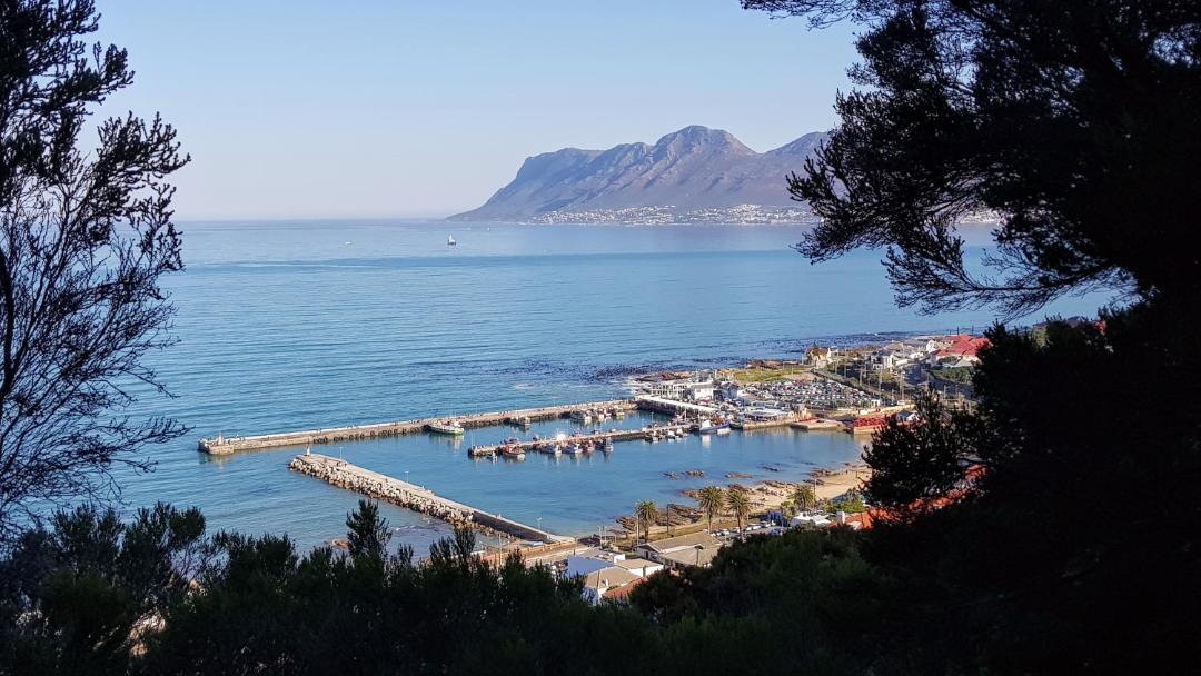 Photo of Others in Kalk Bay