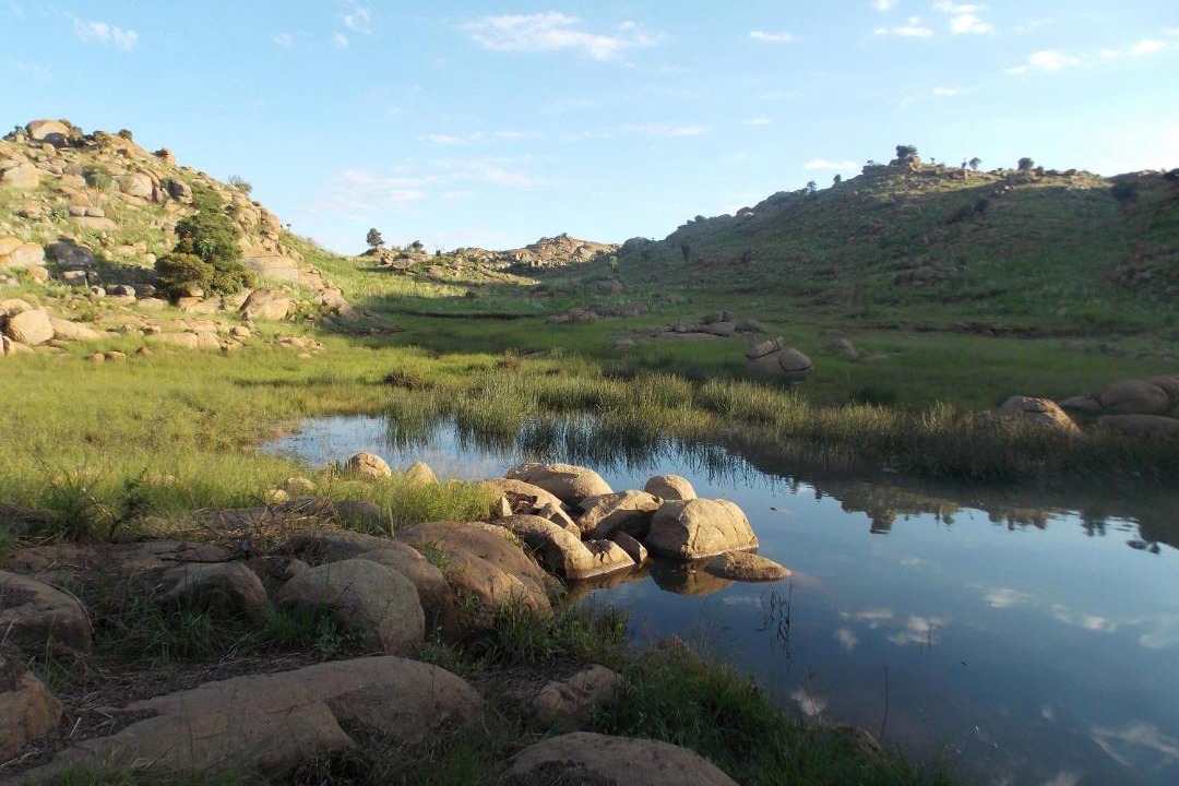 Photo of Others in Tonteldoos