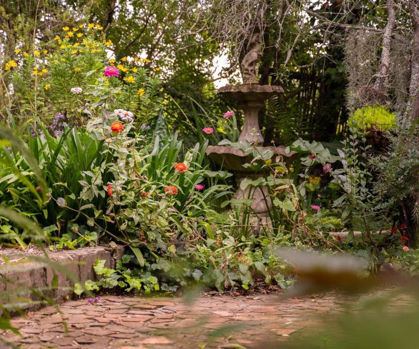 Photo of Others in Swellendam