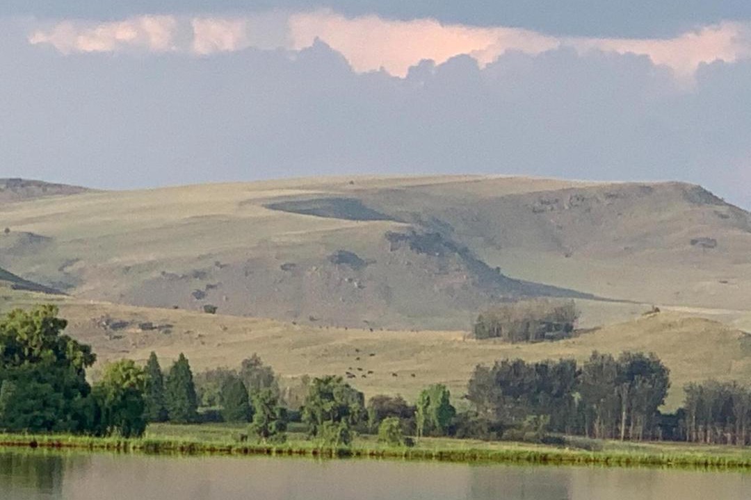Photo of Others in Dullstroom