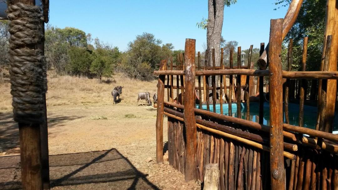 Photo of Others in Hammanskraal
