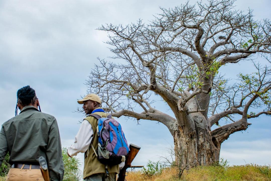 Photo of Others in Kruger National Park