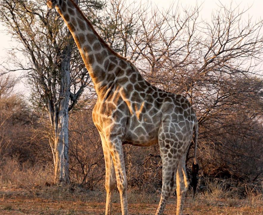 Photo of Others in Lephalale