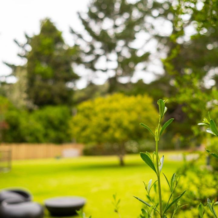Photo of Outdoor in Hunter's Home