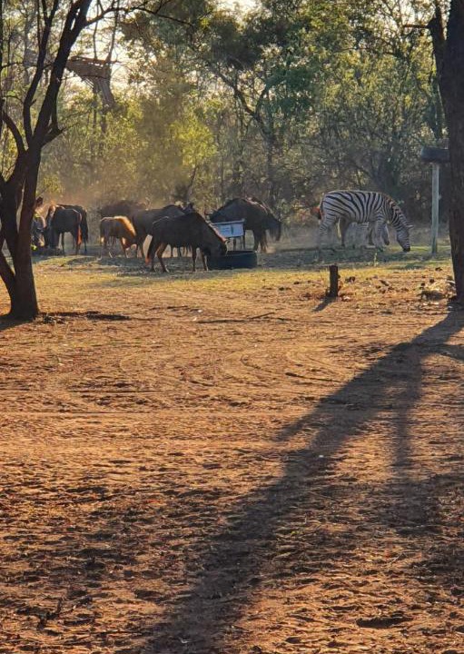 Photo of Others in Vaalwater
