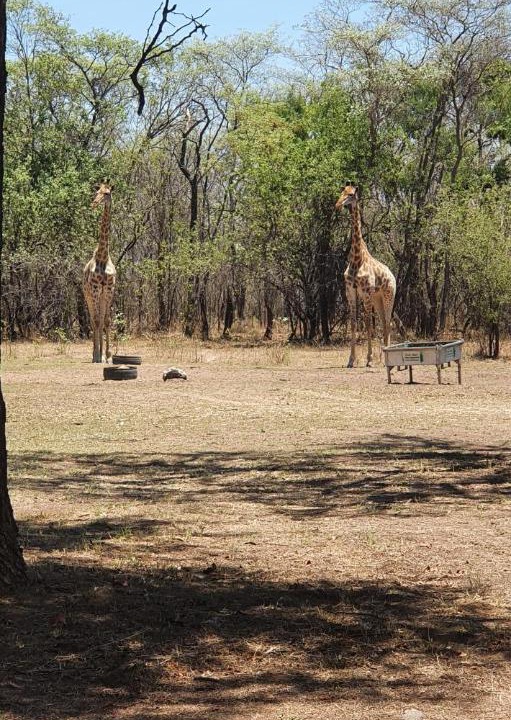Photo of Others in Vaalwater