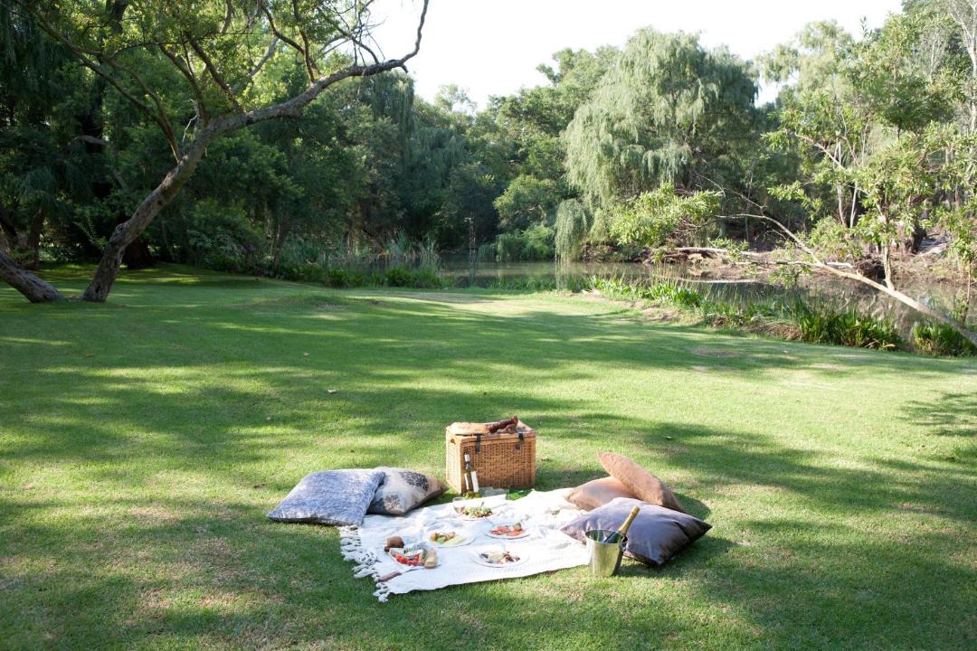 Photo of Others in Magaliesberg