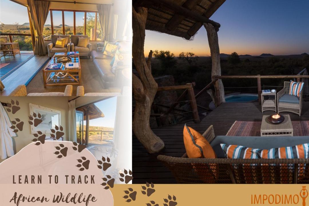 Photo of Others in Madikwe Game Reserve