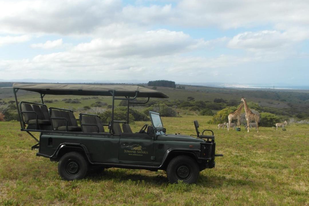 Photo of Others in Kouga