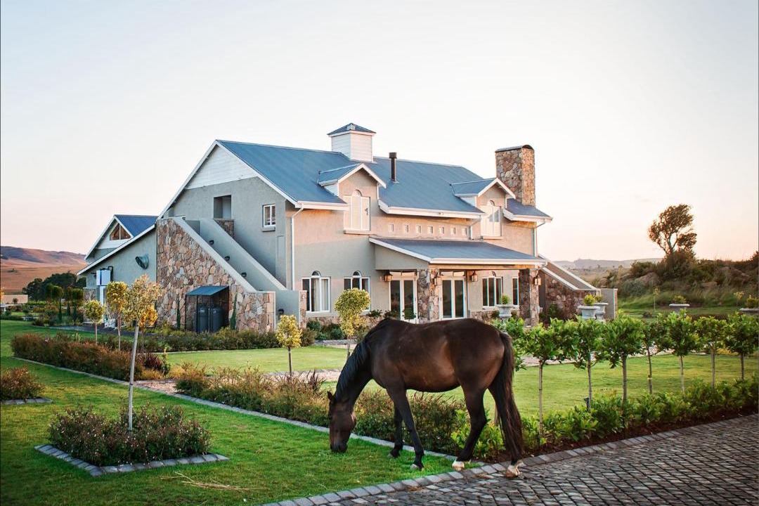 Photo of Others in Dullstroom