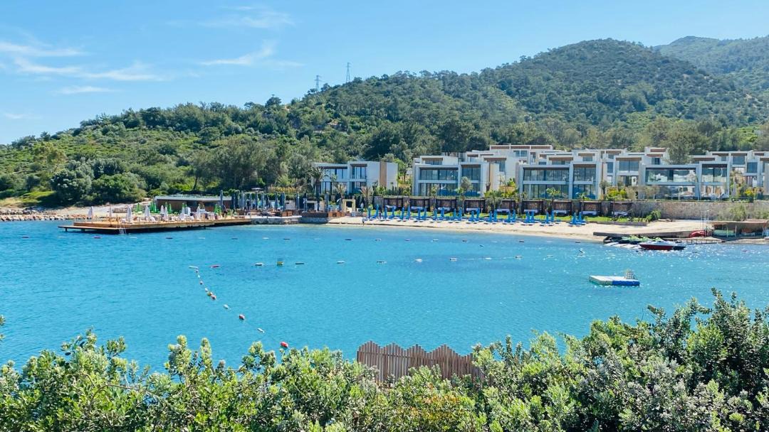 Photo of Others in Torba